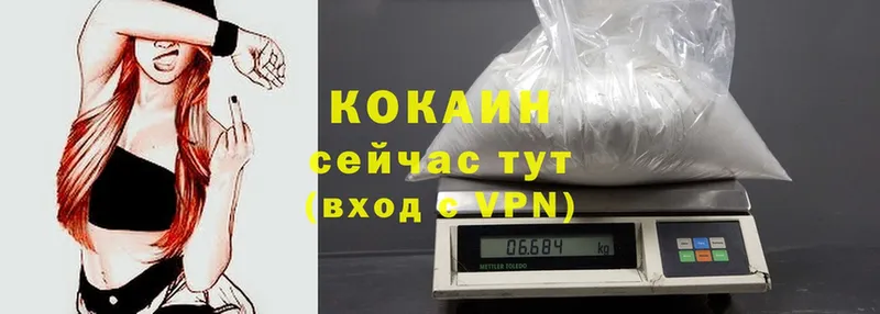 Cocaine Эквадор  где купить наркоту  Чайковский 